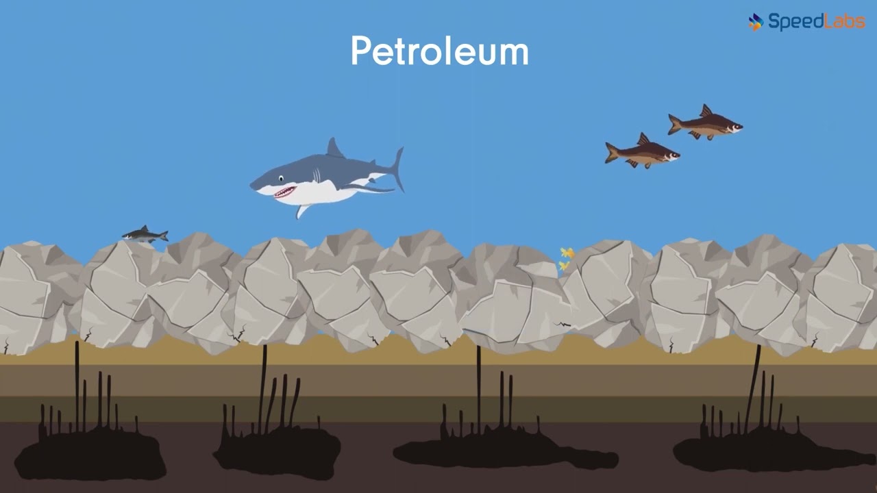 Class-8-Science-Ch-9-Coal & Petroleum-Topic- Formation of Petroleum