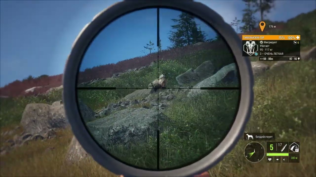 theHunter Call of the Wild | Снежный барс