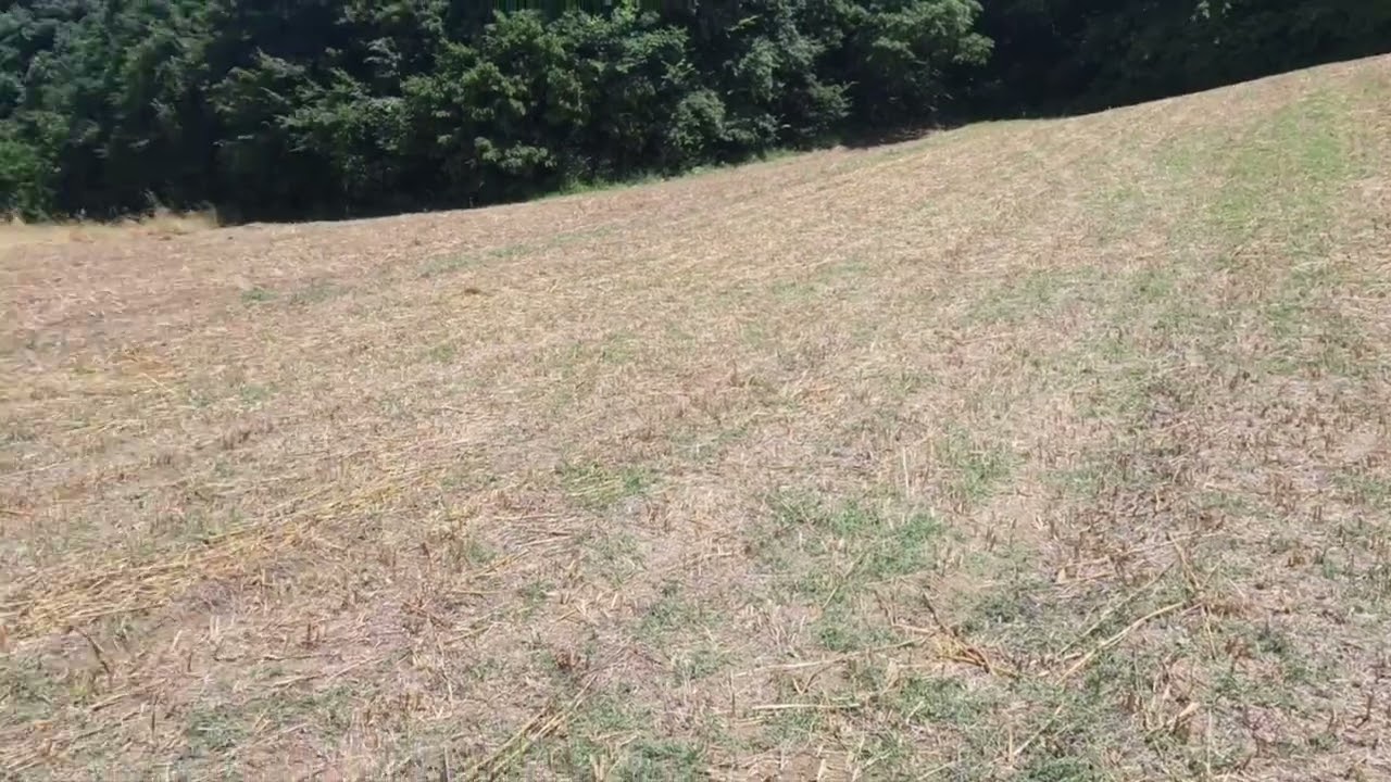 mükemmel konumlu tahtali göleti manzarali 2407m2