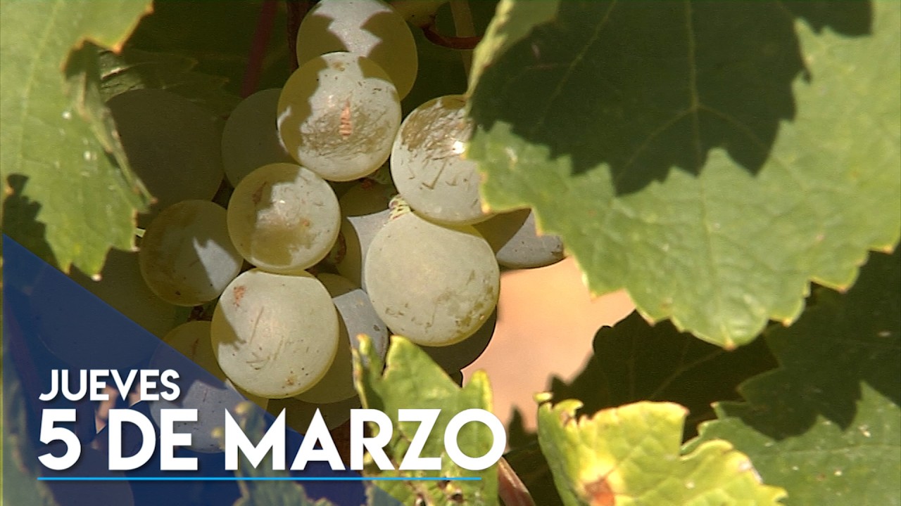 TOLEDO AL DIA / 5 DE MARZO DE 2026