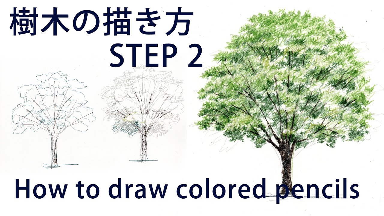 【色鉛筆画】！実践編_樹木の描き方STEP 2　/How to coloredpencil drawing