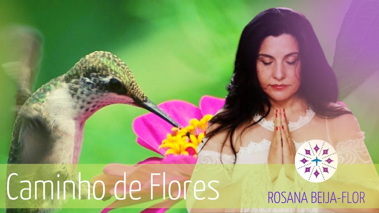 Caminhos de Flores - Rosana Beija-Flor