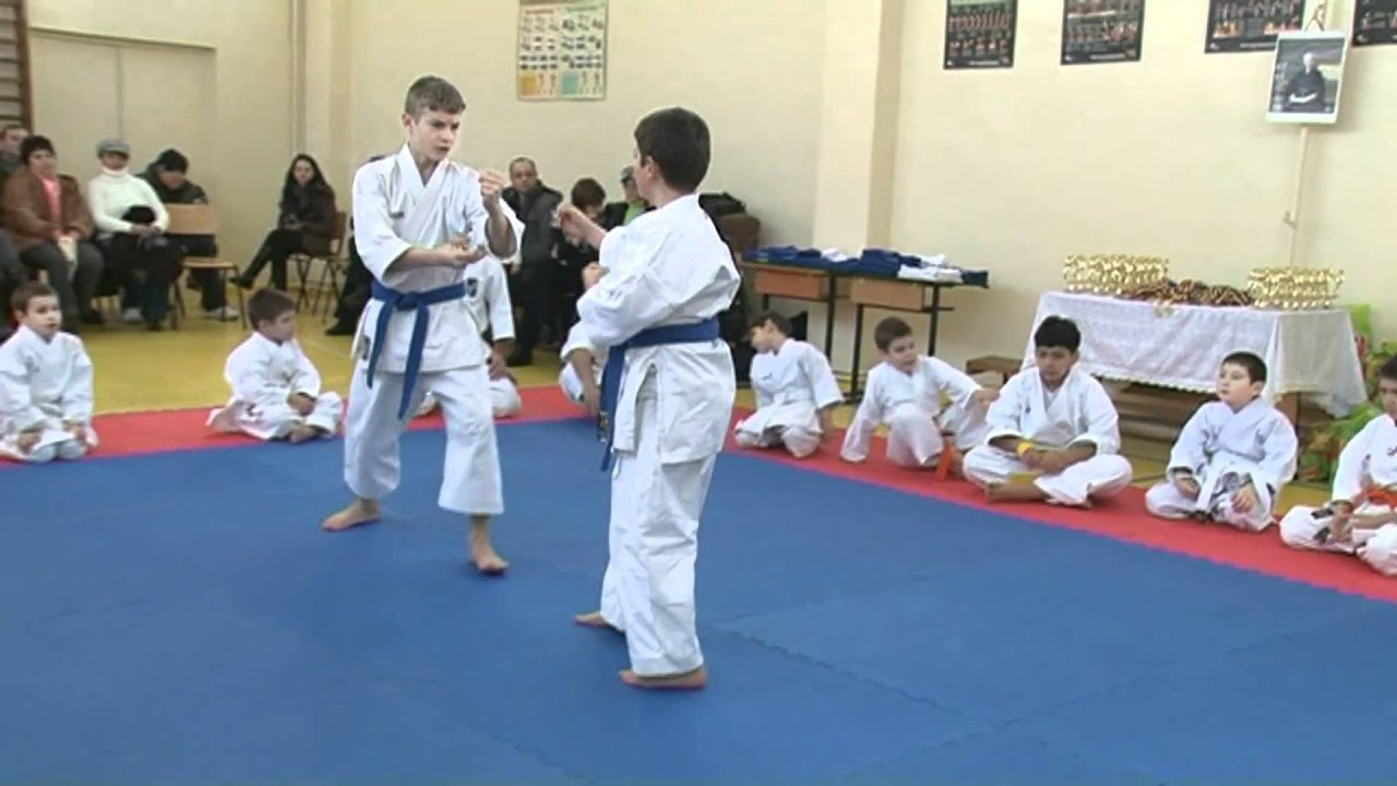 Demonstratie Karate Traditional Shiro Washi - Part. 2