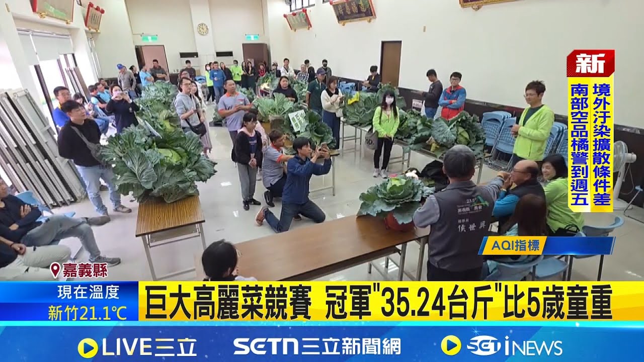巨大高麗菜競賽 冠軍