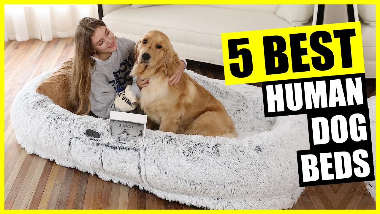 TOP 5: Best Human Dog Bed 2024