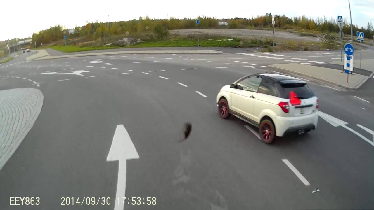 Mopoautot leikkii hengellään ja lailla