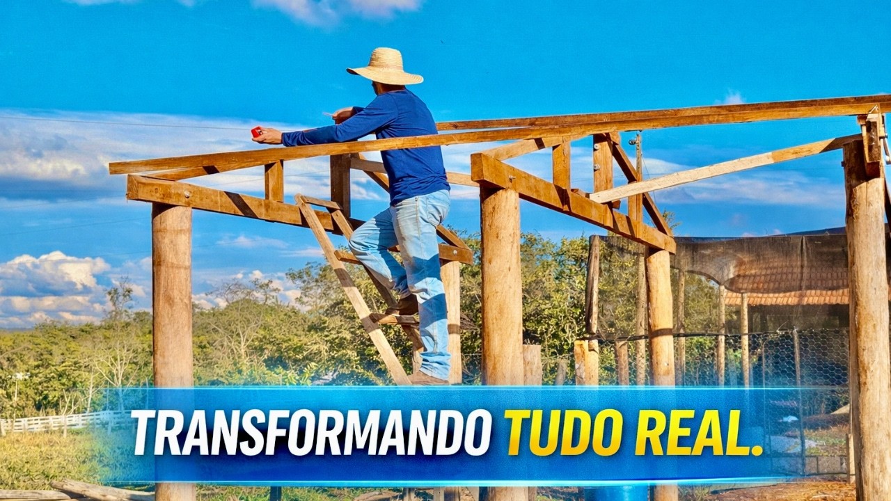 ROTINA NO SÍTIO DOS SONHOS - CONSTRUINDO UM NOVO GALINHEIRO