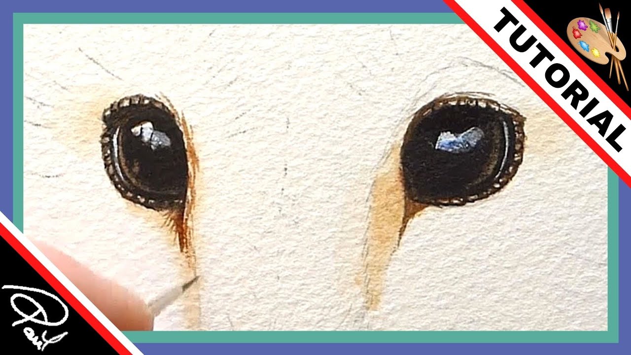 How to paint the eyes of a Barn Owl in watercolour!