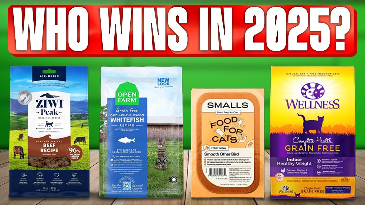 TOP 5 Best Cat Foods 2025