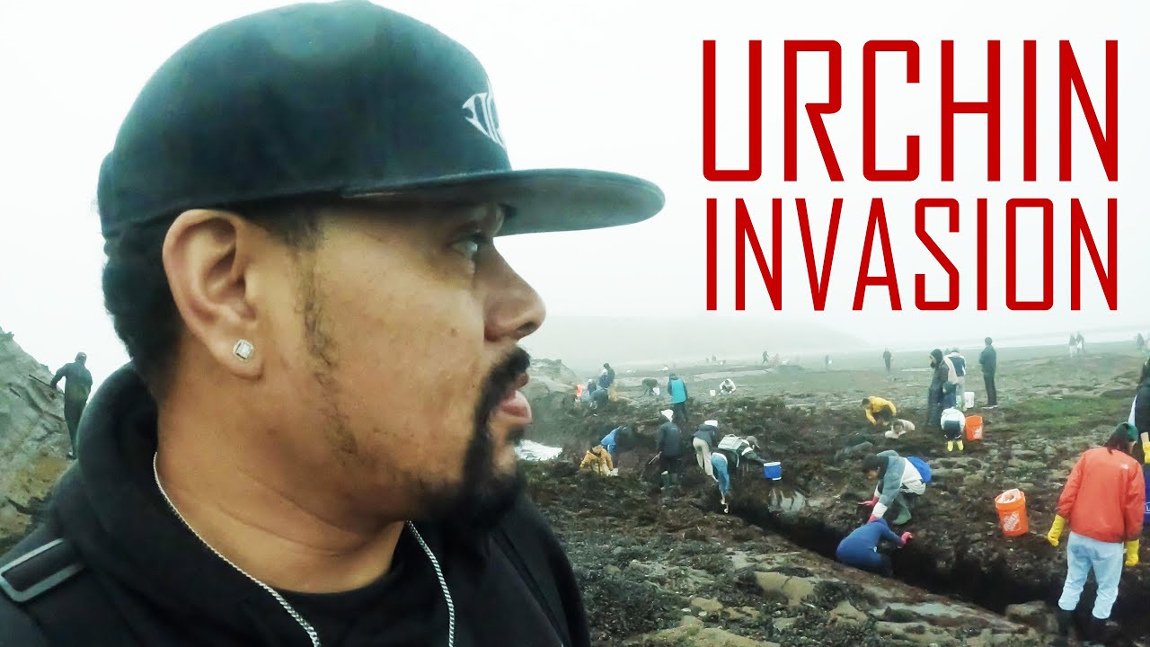 Searchin' for Invasive Urchin During The King Tide (Negative Tide) | ITGETSREEL Episode 202