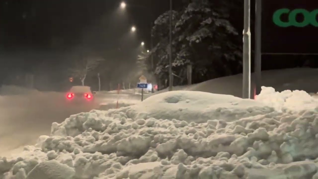 Körkortslös och d24or 