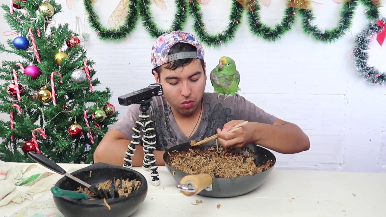 Noodle ASMR *Lots of Tingles*