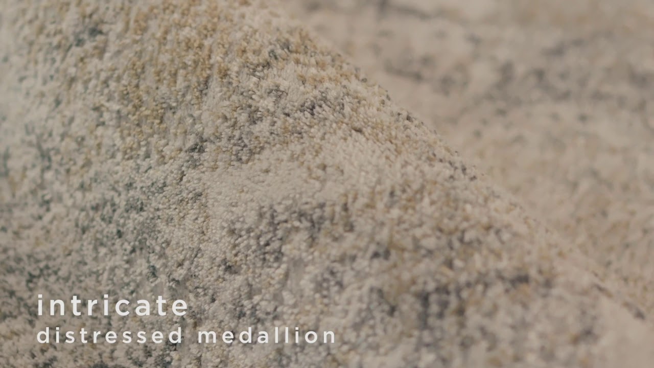 Ramsey Medallion Gray/ Gold Rug by Jaipur Living