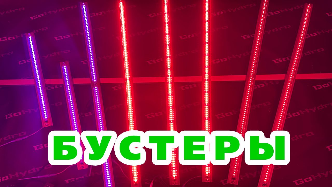Мощные LED бустеры для растений, которые взорвут ваш урожай!