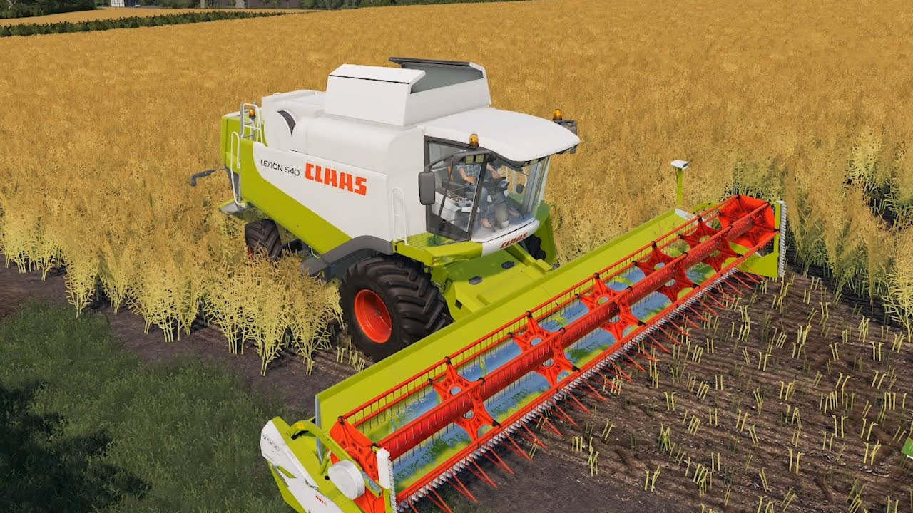 Sandy Bay  EP#37 | Farming Simulator 19 Timelapse | FS19 Timelapse | Mowing Hay, Harvest