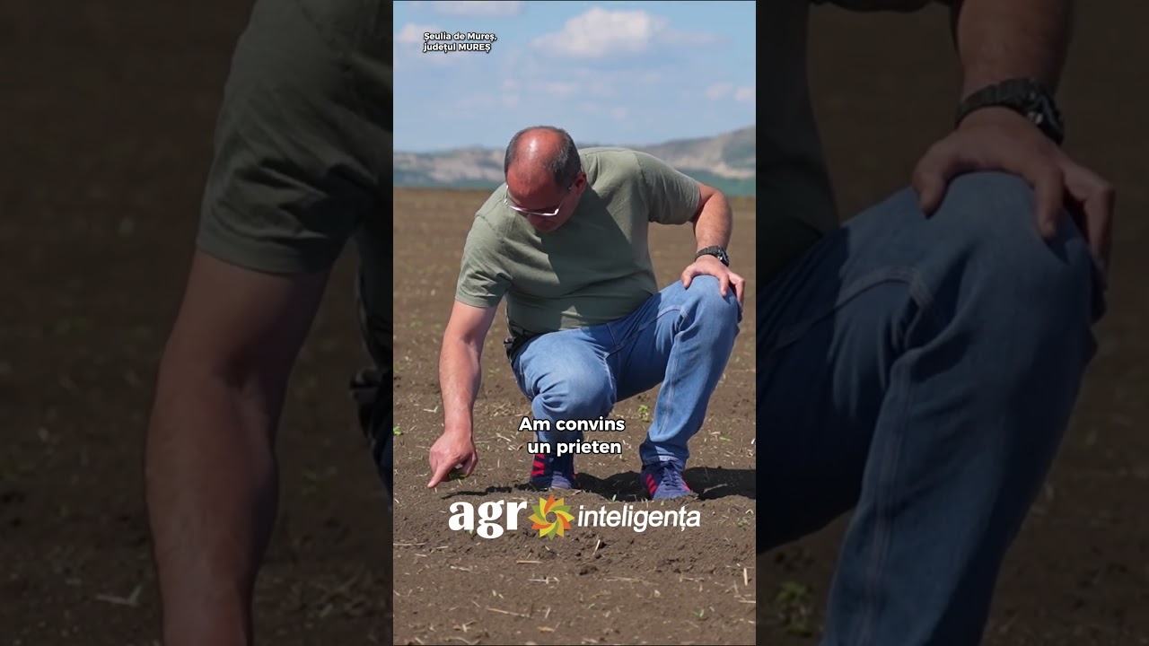 Aurelian Ignat a renunțat la IT pentru a face agricultură