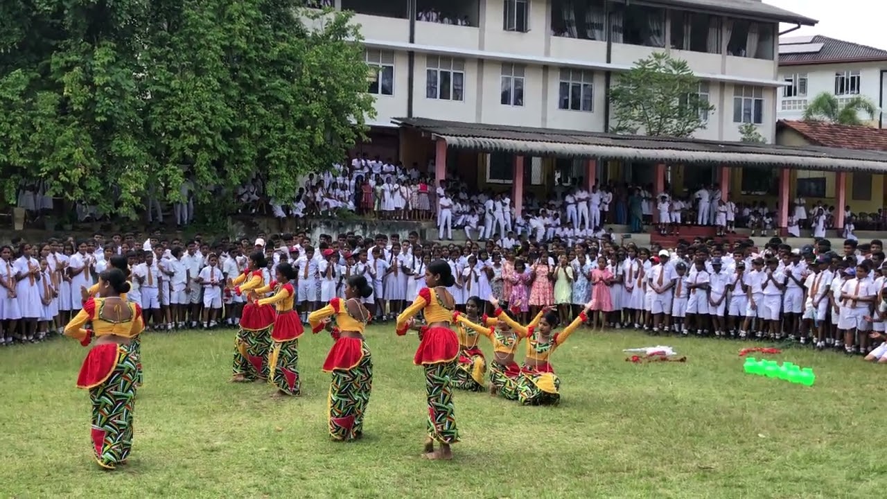 පින්නවල මධ්‍ය මහා විද්‍යාලයේ ලෝක ළමා දිනය 20K4 🍃💞 #pinnawalacentralcollege #pinnawala #pinanwal