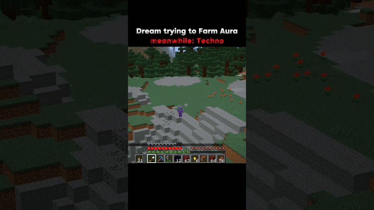Techno i Dream spotykają się po raz pierwszy 😂 #minecraft #technoblade