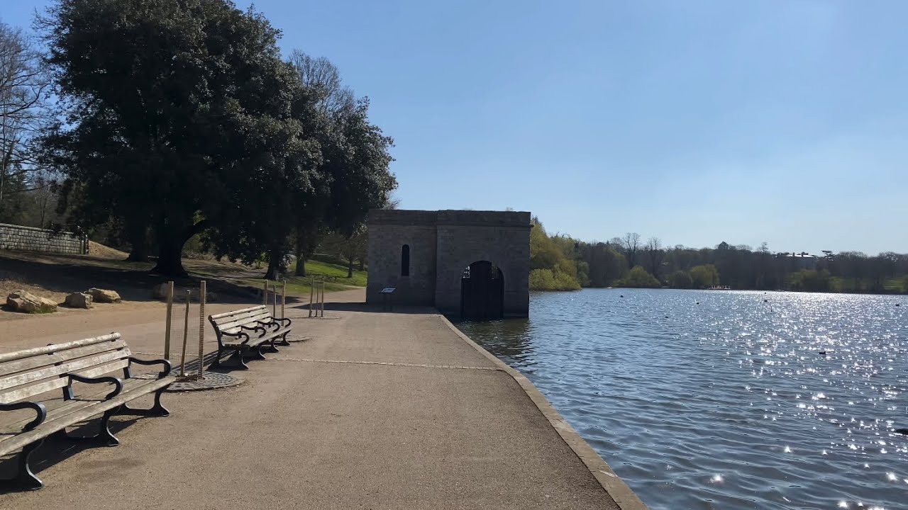 A Walk Around 🌳MOTE PARK 🦆Maidstone Kent