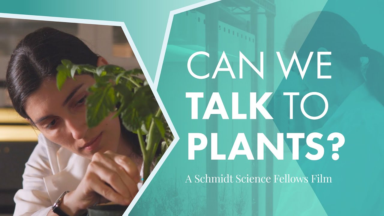 Can We Talk To Plants?