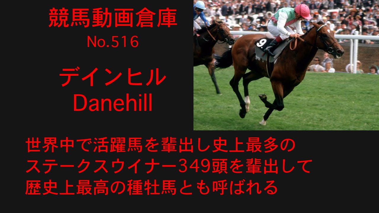 【競馬】デインヒル　Danehill【No 516】