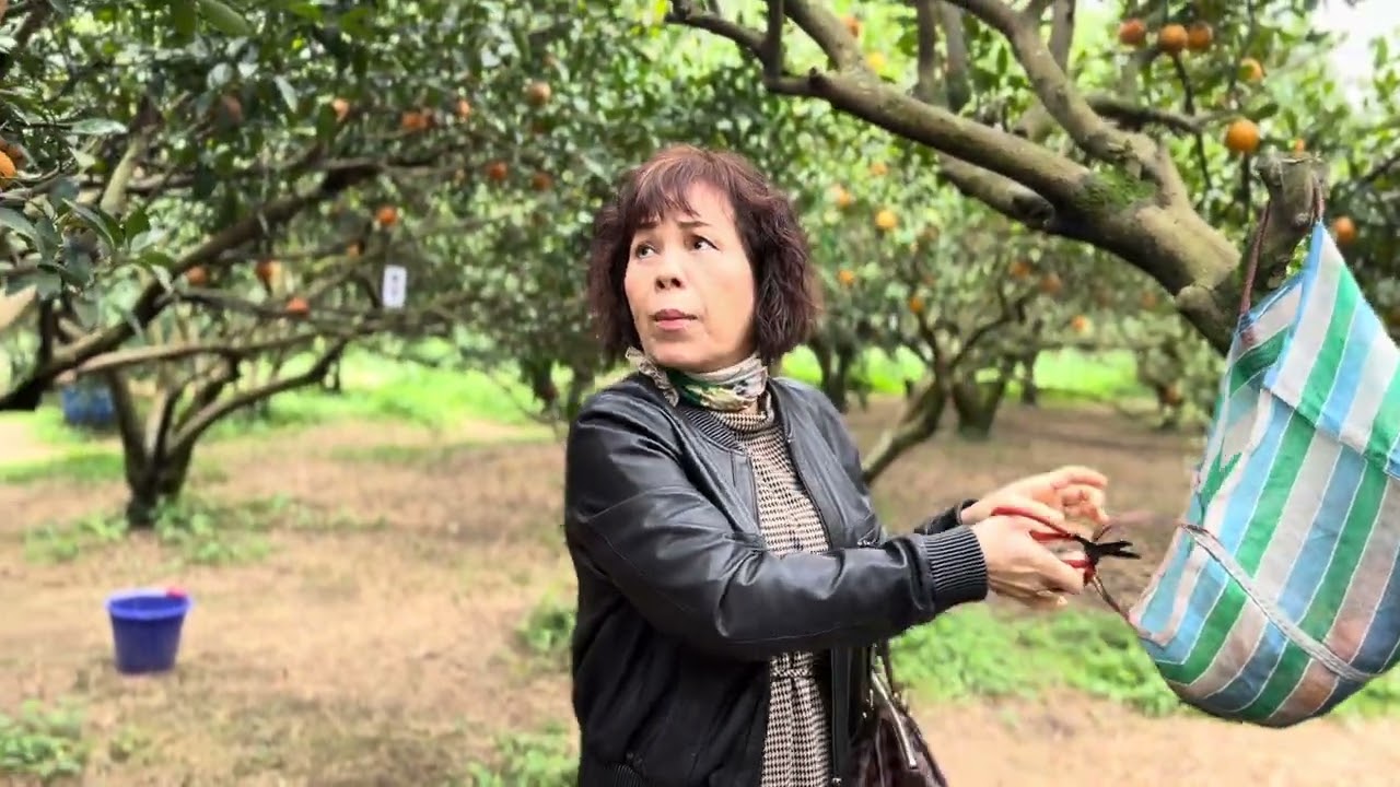 【新竹】東山農園
