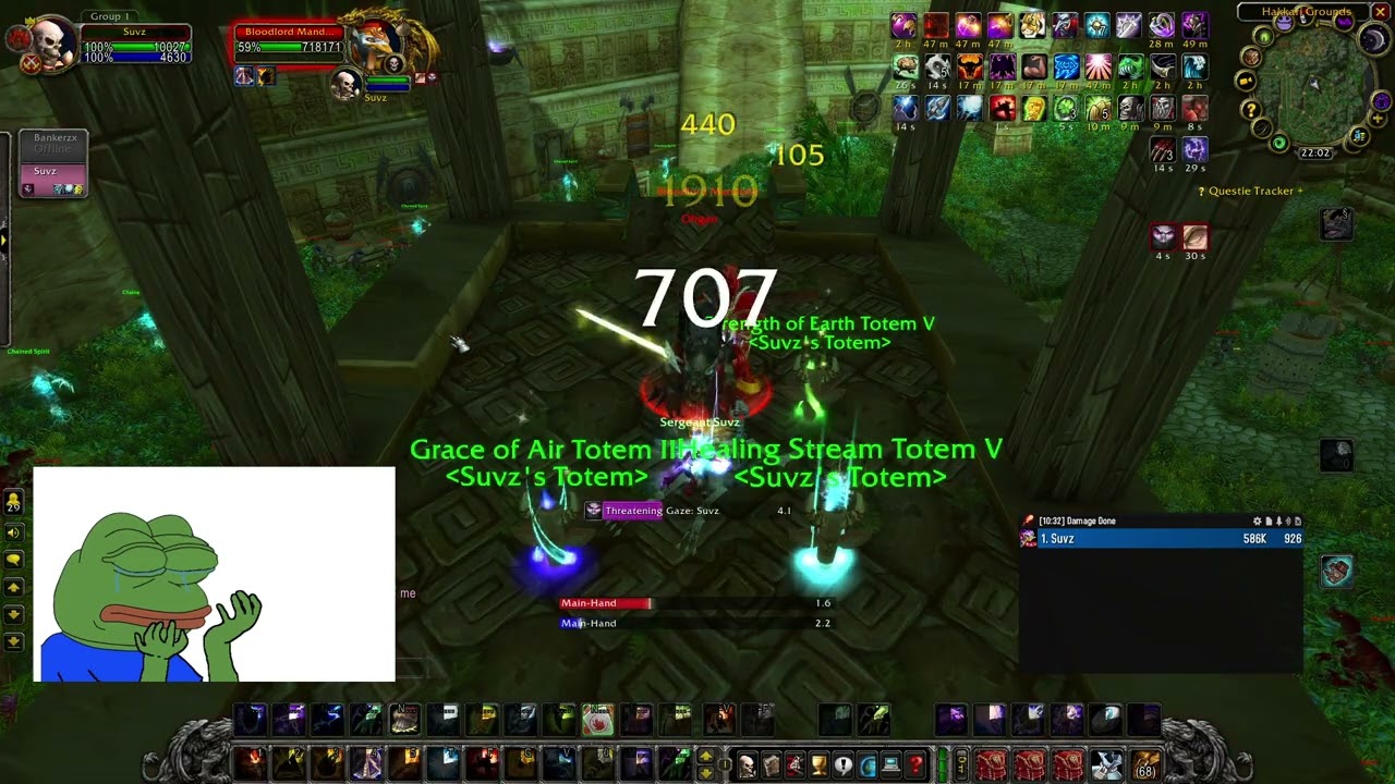 Bloodlord Mandokir solo for mount/Idol SoD Shaman tank