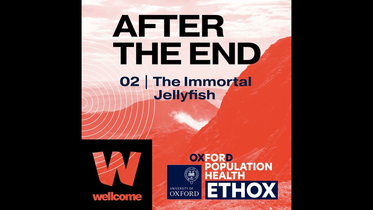 02 | The Immortal Jellyfish - Miranda Lowe
