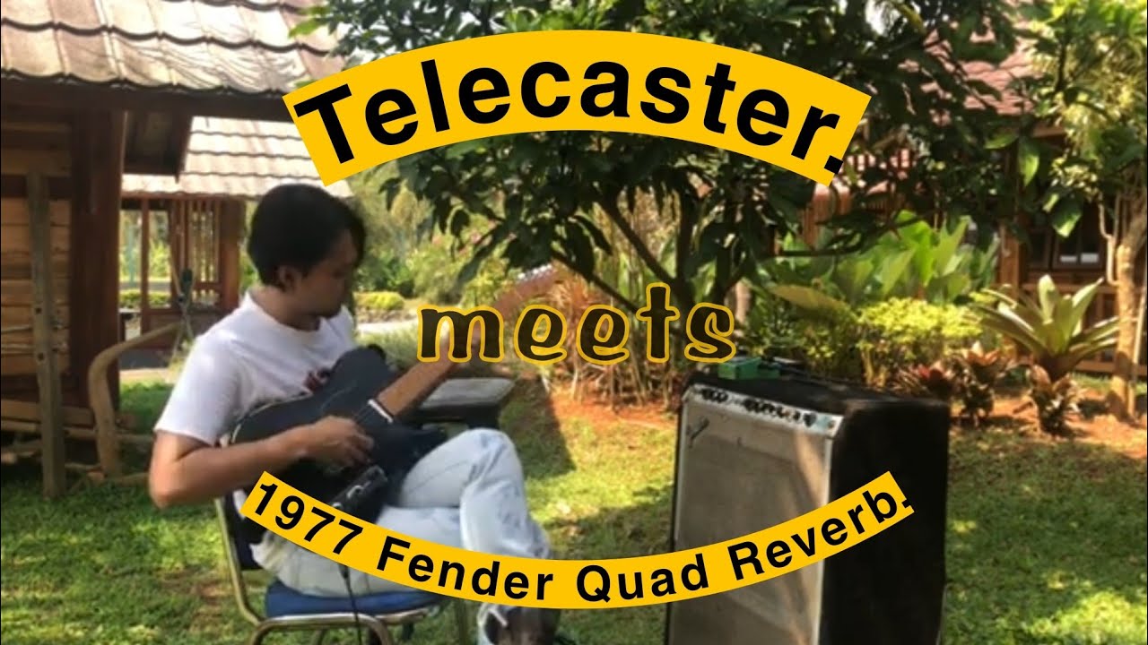 1977 Fender Quad Reverb VS Telecaster | Vintage Amp