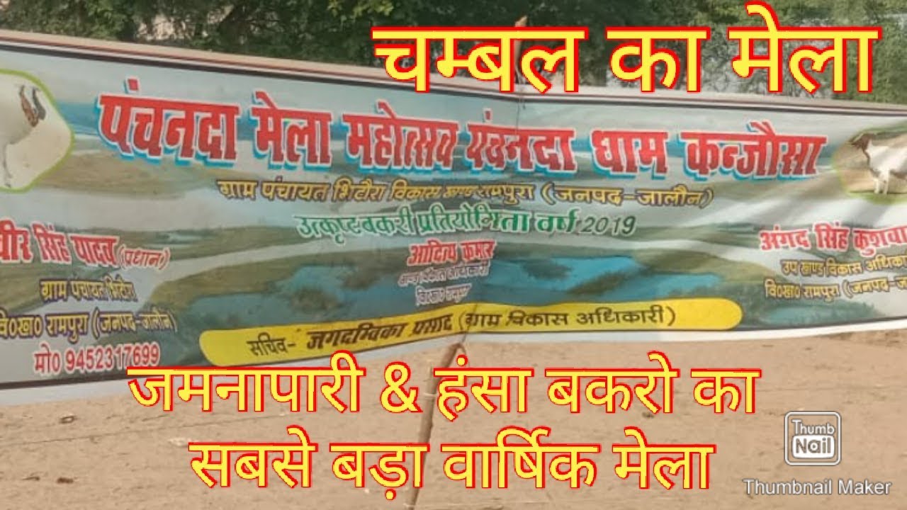 चम्बल का मेला | जमनापारी हंसा बकरो का मेला |  Chambal Ka Mela  | Jamnapari Hansa Bakro Ka Mela