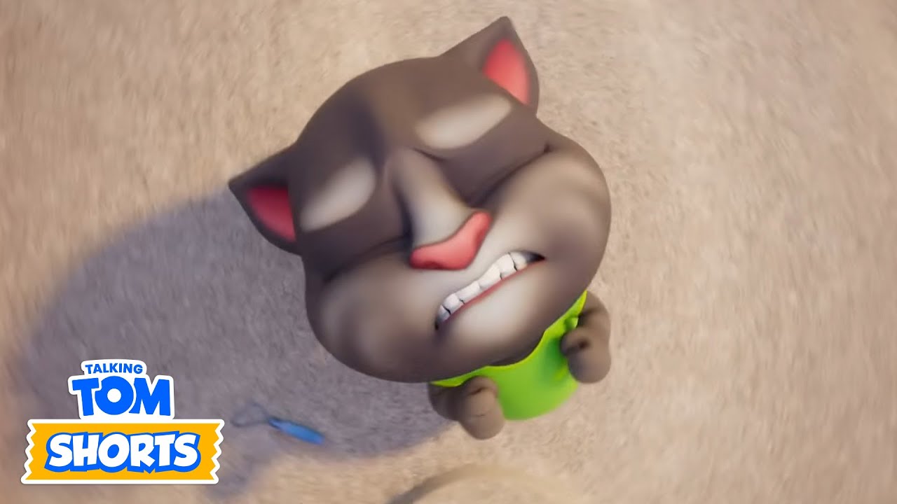 왜 그는 날 내버려 두지 않는 거야! | 말하는 톰 | 전체 에피소드 | Talking Tom