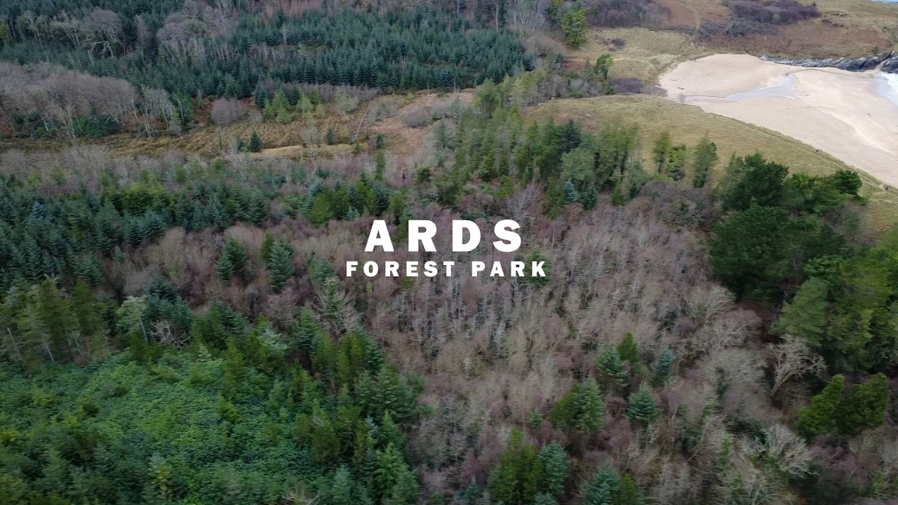 Ards Forest Park - Preliminary results - LIFE INSULAR