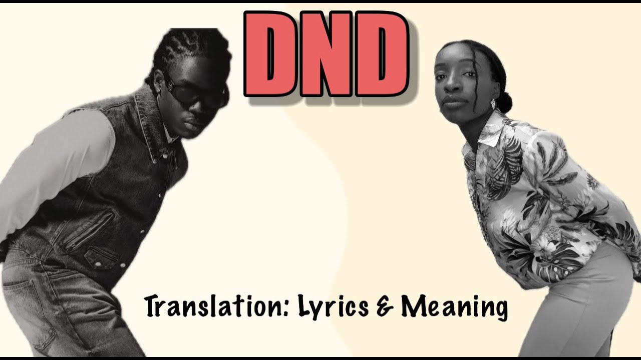 Rema - DND (Afrobeats Translation: Lyrics and Meaning)