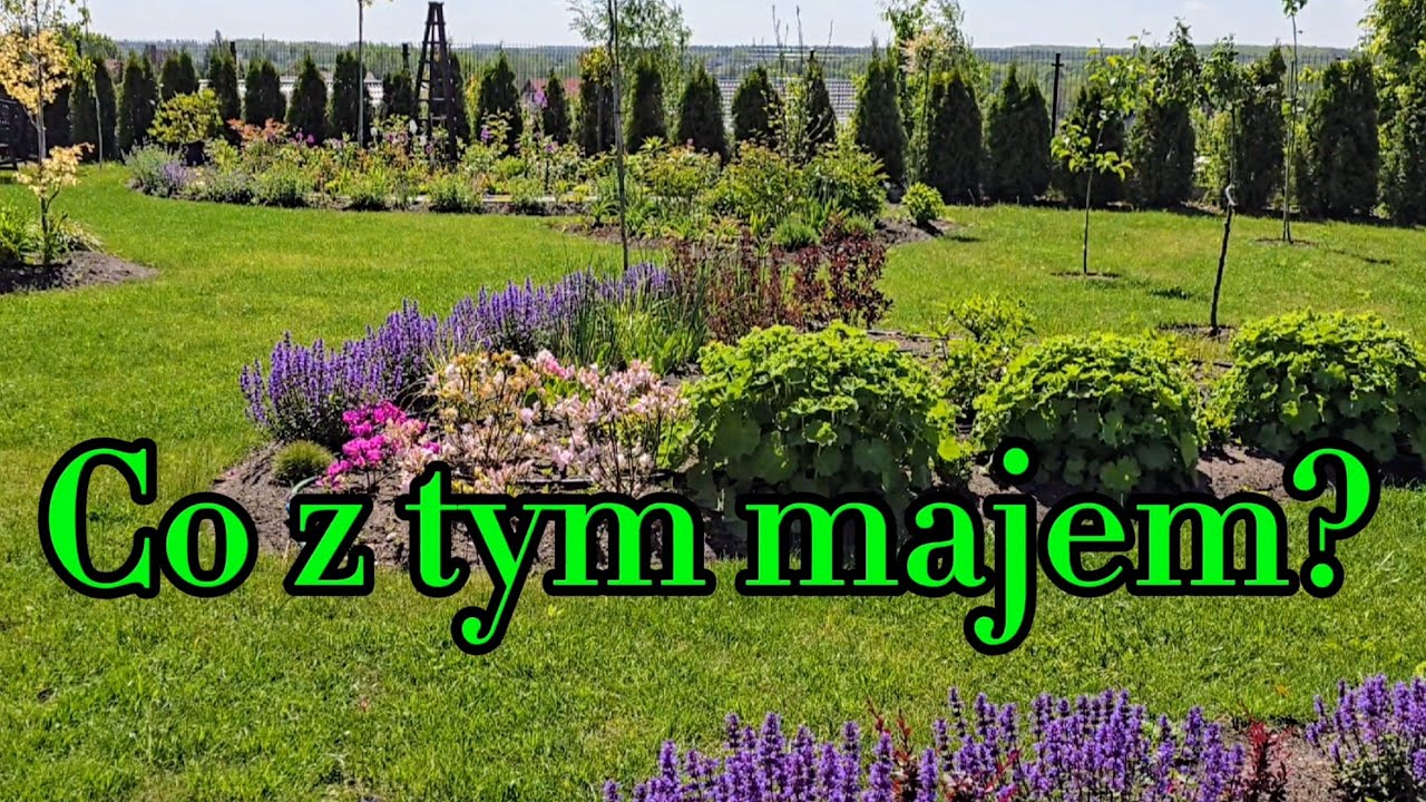 Chłodny i deszczowy, majowy ogród.