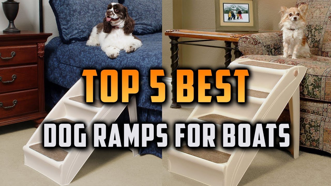 Top 5 Best Dog Ramps For Boats