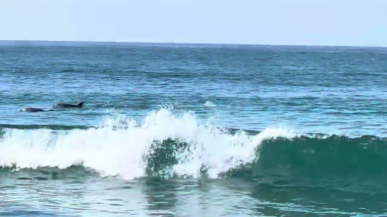 Relaxing wave sounds. 