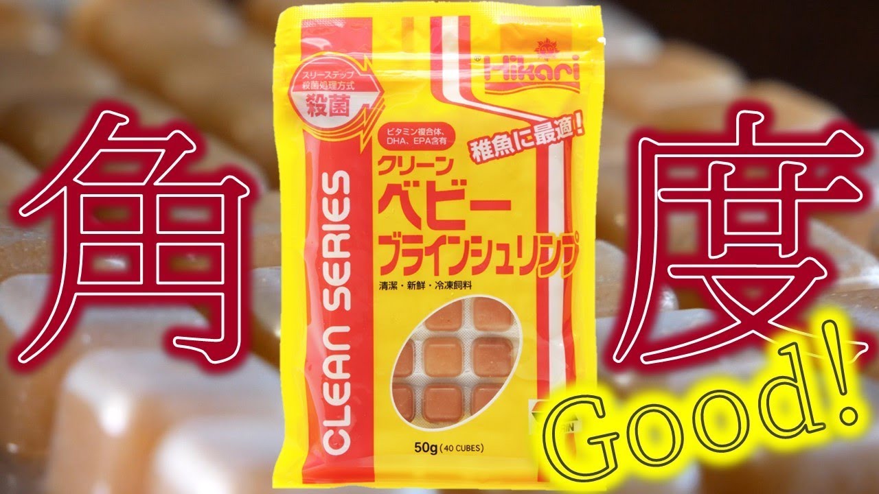 【冷凍ブライン】クリーンベビーブラインシュリンプは、グッピーの稚魚でも食べるのか？【ふぶきテトラ】