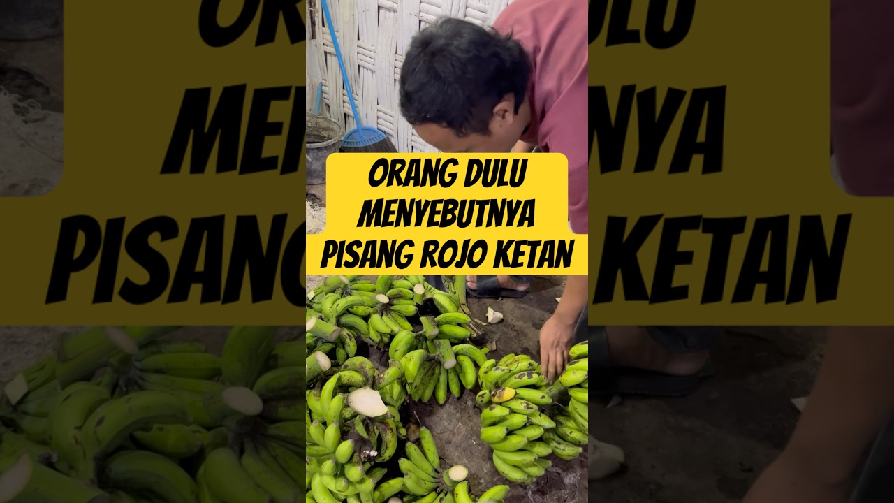 Pisang susu #fruit #banana #pisangsusu