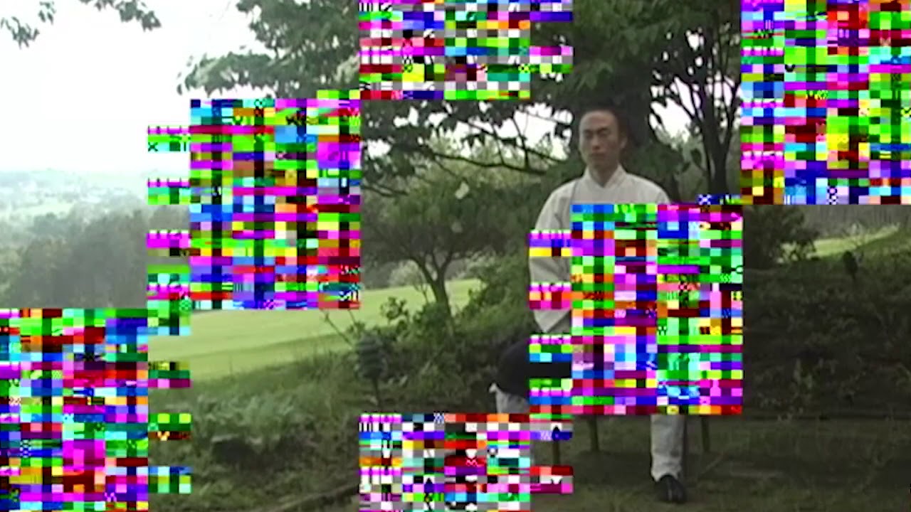 Qigong For Healthy Living 5