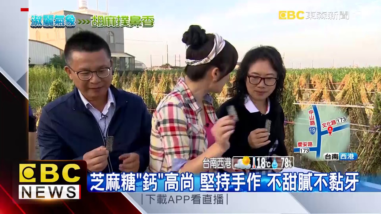 台灣胡麻的故鄉 西港胡麻最大產區