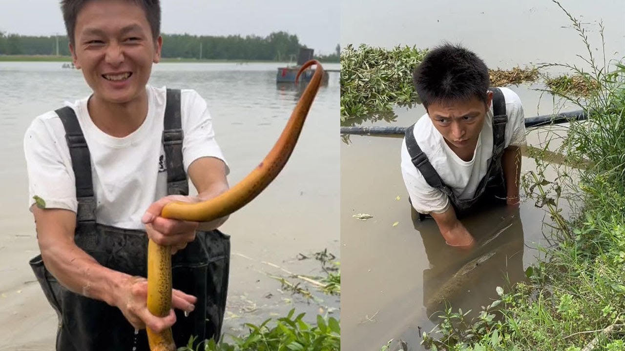 400塊兩個小時，看看能搞多少鳝魚#fishing #咱村小结巴 #搞笑 #大軟絲 #农村生活