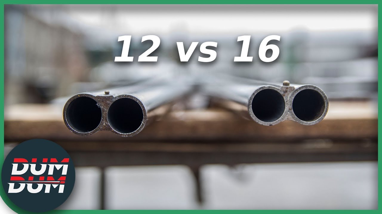 Kalibar 12 i kalibar 16 uporedni test sačme