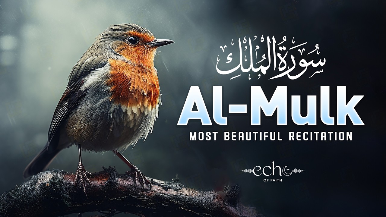 Surah Al-Mulk سورة الملك | Beautiful Quran Recitation for Sleep, Protection & Peace #surahmulk