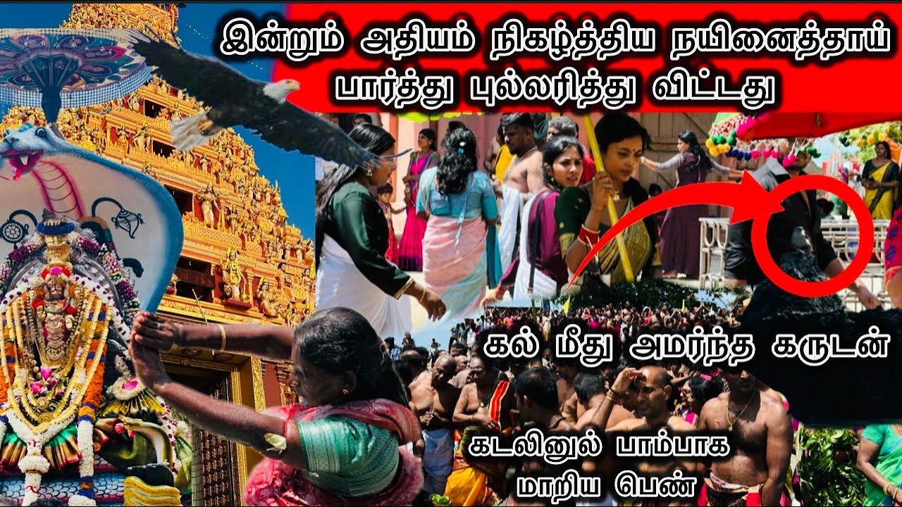 நயினாதீவில் இன்றும் நடந்த அதிசயம் கண்முன்னே வந்த கருடன் பாம்பாக மாறிய பெண்