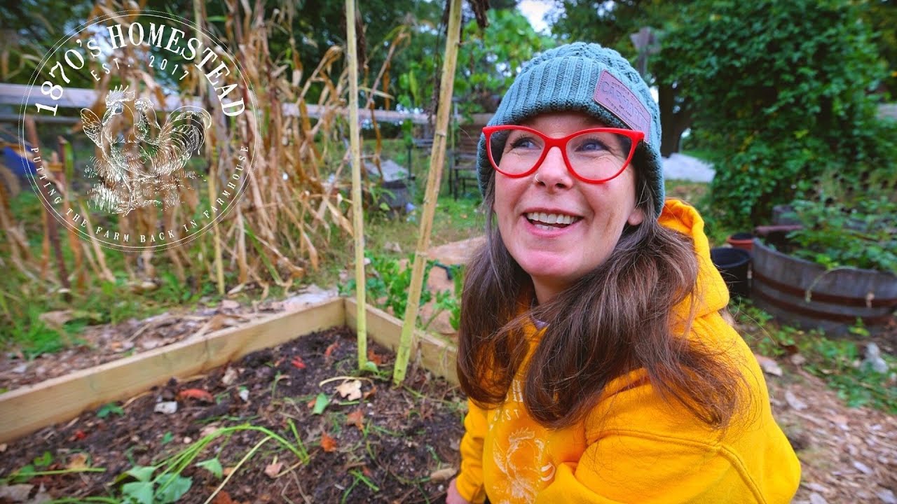 My SAD Sweet Potato Harvest | This Soil Is DEAD