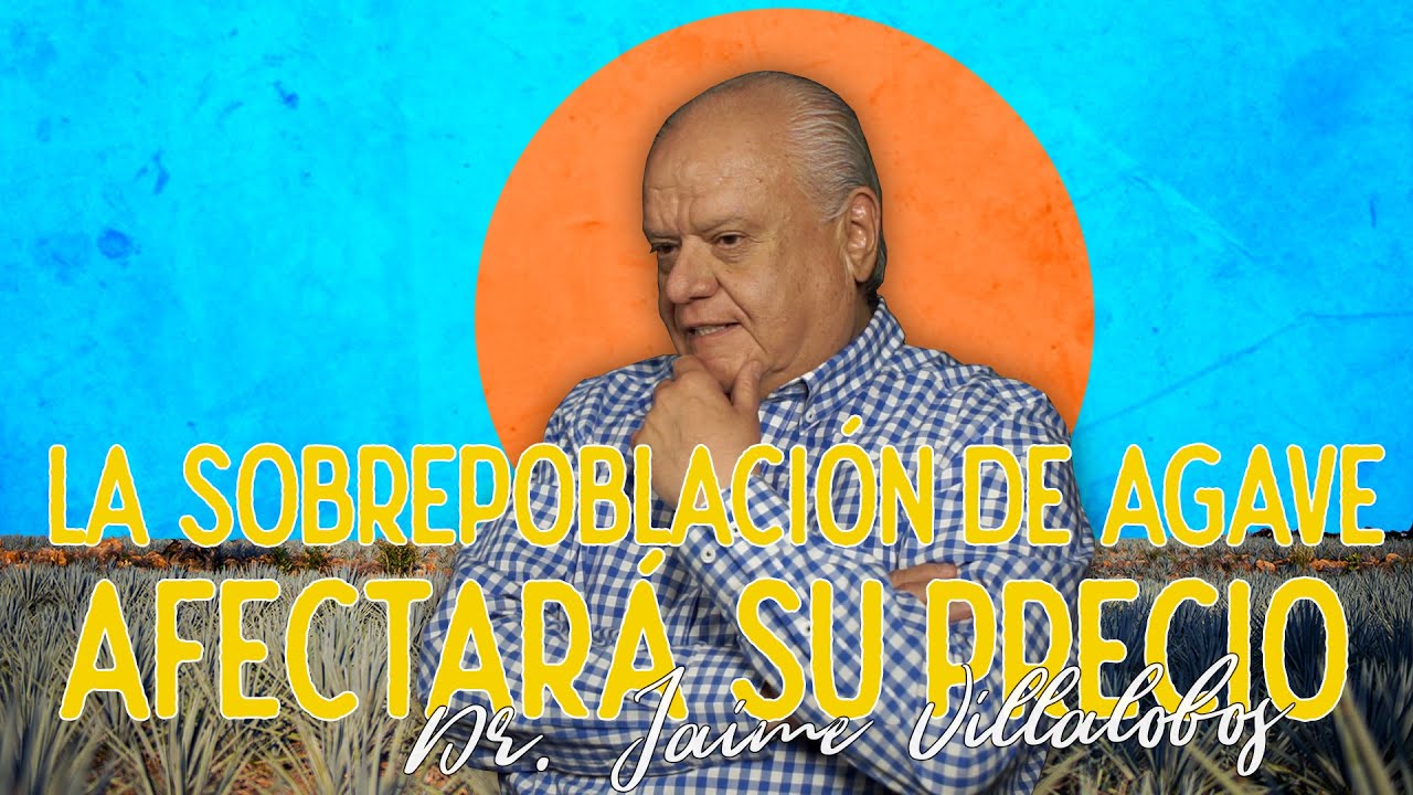 La sobrepoblación de agave, afectará su precio.