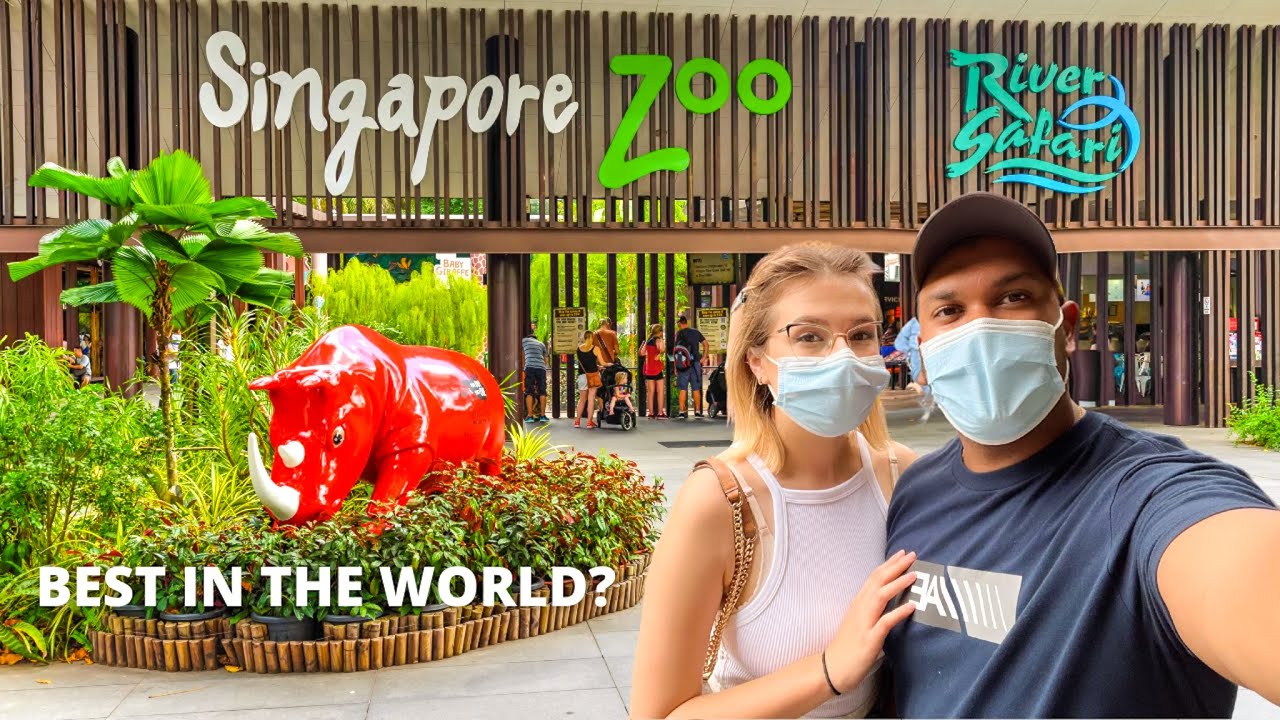 Is Singapore Zoo really the best in the world ? || Last day in Singapore || Next destination ? ||