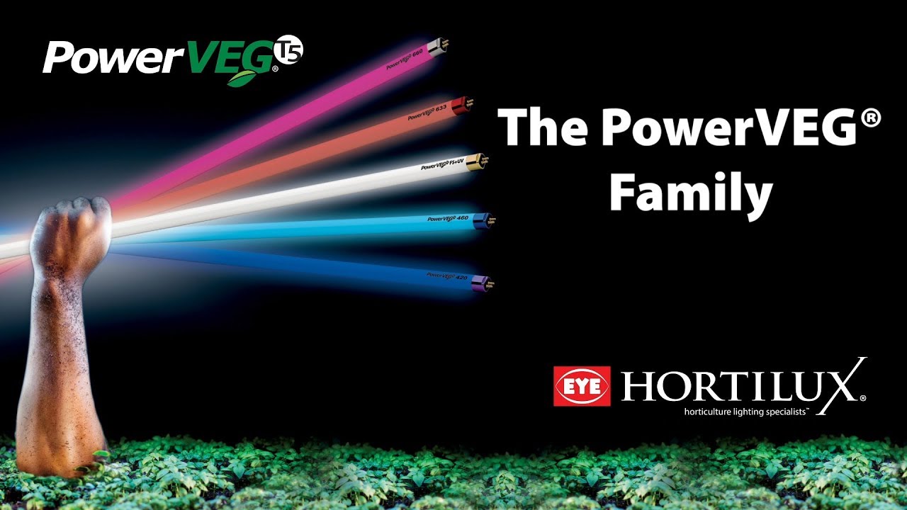 PowerVEG Family from EYE HORTILUX
