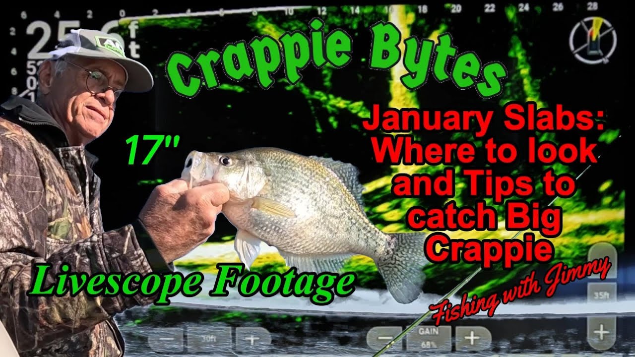 January Slabs, Where to look and tips to catch Big Crappie #crappiefishing #livescope #wintercrappie