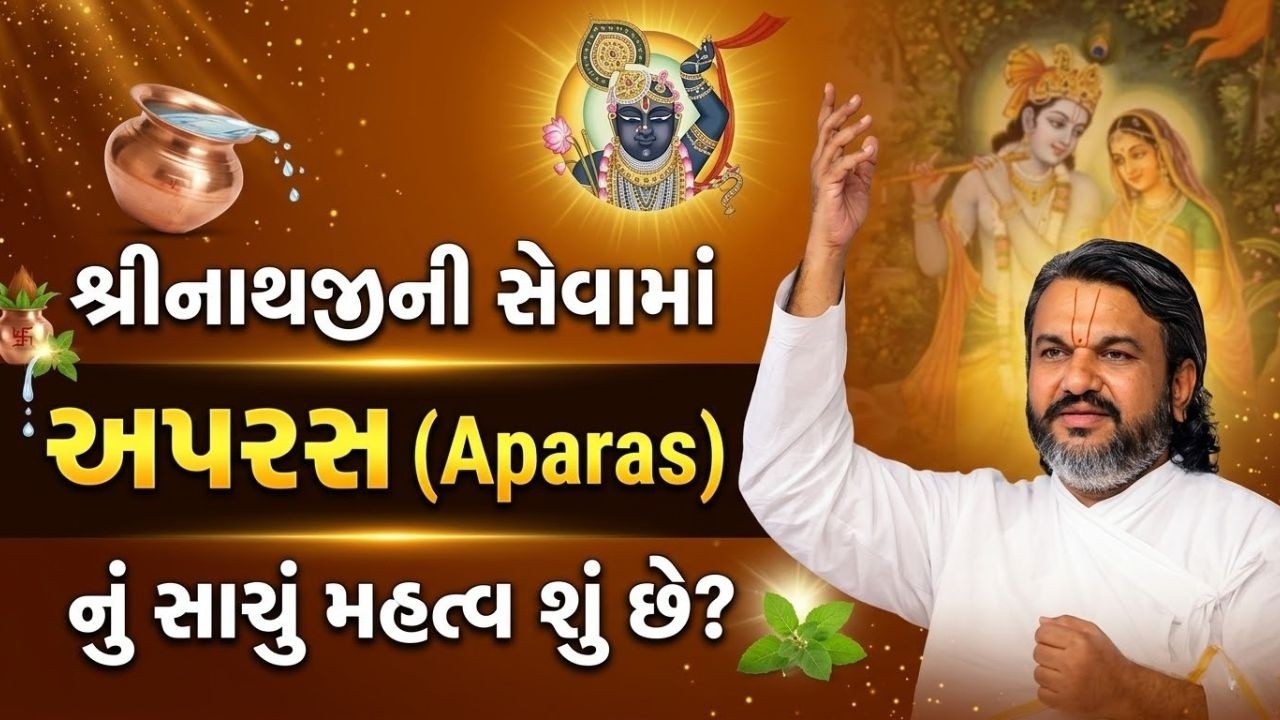 શું અપને શ્રીનાથજી ની સેવામાં સાચું મહત્વ શું છે #Pustymarg #pustimarg #pushtimarg